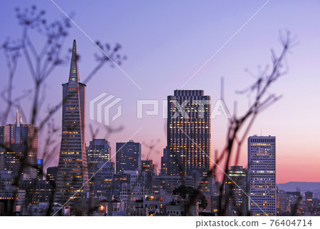 Night view of buildings in San Francisco business district, USA Night view of buildings in San Francisco business district, USA 76404714