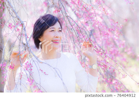 Middle-aged woman enjoying Somei-Yoshino cherry blossoms 76404912