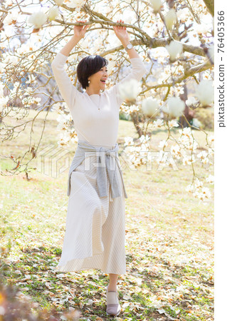A woman enjoying the spring plateau Chichibu Sakura At Hitsujiyama Park in Chichibu City, Saitama Prefecture A woman enjoying the spring plateau Chichibu Sakura At Hitsujiyama Park in Chichibu City, Saitama Prefecture 76405366