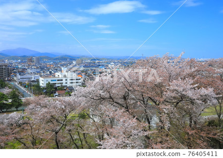 [鳥取縣] 從鳥取城看櫻花盛開和鳥取市（九州公園） 76405411