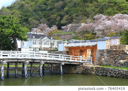 [Tottori Prefecture] Tottori Castle Ruins of Cherry Blossoms in Full Bloom (Kyusho Park Giboshi Bridge) 76405419