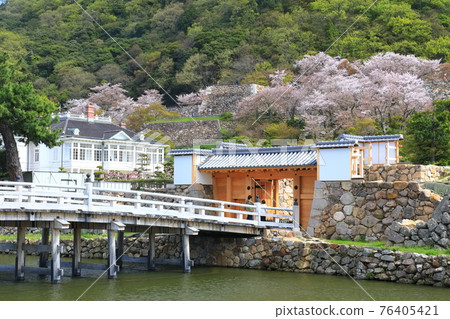 [鳥取縣] 櫻花盛開的鳥取城遺址（九州公園基星橋） 76405421