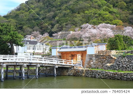 [Tottori Prefecture] Tottori Castle Ruins of Cherry Blossoms in Full Bloom (Kyusho Park Giboshi Bridge) 76405424