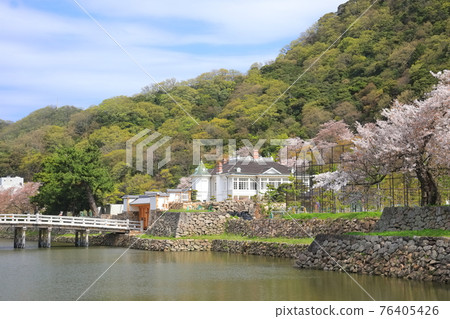 [Tottori Prefecture] Tottori Castle Ruins of Cherry Blossoms in Full Bloom (Kyusho Park, Jinpukaku) 76405426