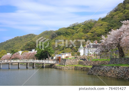 [Tottori Prefecture] Tottori Castle Ruins of Cherry Blossoms in Full Bloom (Kyusho Park, Jinpukaku) 76405427