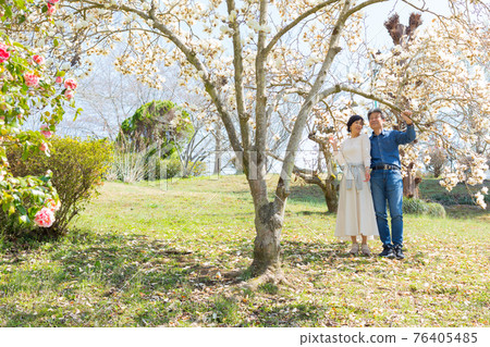 Senior couple enjoying Yoshino cherry blossoms in Chichibu, Saitama Prefecture 76405485