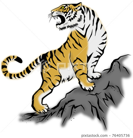 A tiger barking in a rocky mountain 76405736