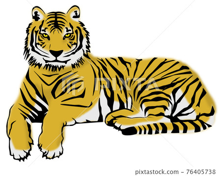 Lying tiger 76405738