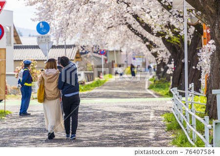 藍天櫻花盛開 宮城縣白石川岸一目千本櫻小河原町 藍天櫻花盛開 宮城縣白石川岸一目千本櫻小河原町 76407584
