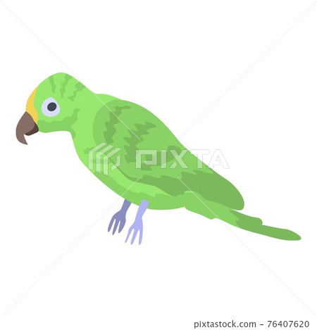 Green parrot icon, isometric style 76407620