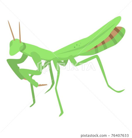 Green mantis icon, isometric style 76407633