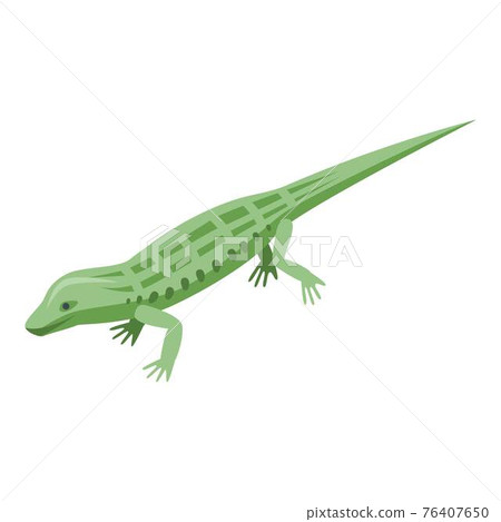 Wild reptile icon, isometric style 76407650