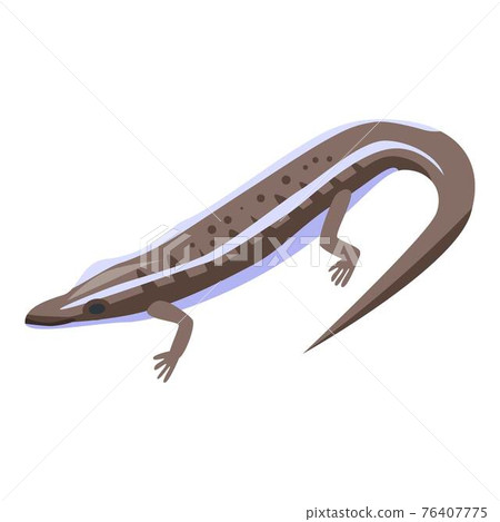 Forest lizard icon, isometric style 76407775