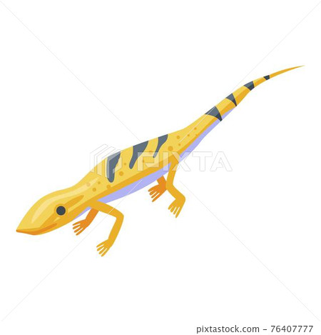 Desert lizard icon, isometric style Desert lizard icon, isometric style 76407777