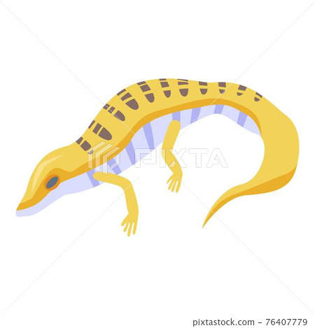Yellow lizard icon, isometric style Yellow lizard icon, isometric style 76407779