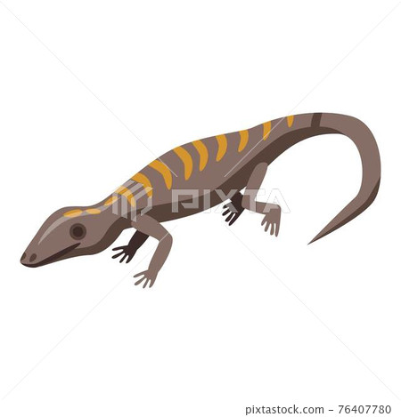 Gecko lizard icon, isometric style Gecko lizard icon, isometric style 76407780