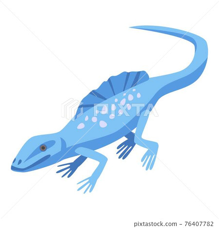 Blue lizard icon, isometric style Blue lizard icon, isometric style 76407782