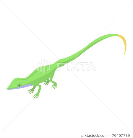 Small lizard icon, isometric style 76407789