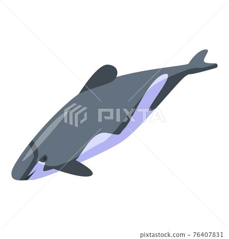 Underwater dolphin icon, isometric style 76407831