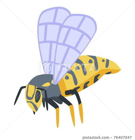 Wasp icon, isometric style Wasp icon, isometric style 76407847