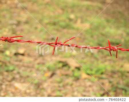 Strands of barb wire Strands of barb wire 76408422