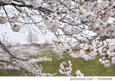 舊國立新屋倉庫大川端尾圍城近鄰公園 舊國立新屋倉庫大川端尾圍城近鄰公園 76408464