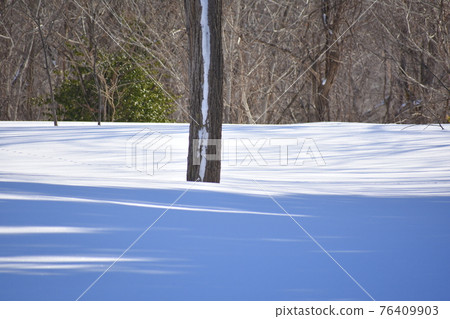 雪地 雪地 76409903