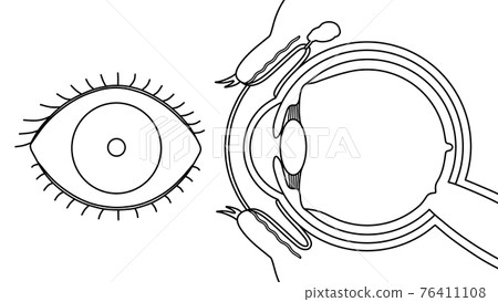 Cross-sectional view (line drawing) of the front view and the side view 76411108
