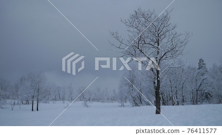 Snowy landscape of the plateau 76411577