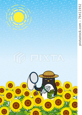 夏日問候明信片素材11 向日葵田和捕蟲企鵝 夏日問候明信片素材11 向日葵田和捕蟲企鵝 76411932