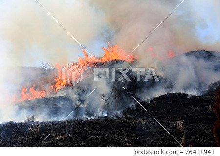 Forest fire Forest fire 76411941