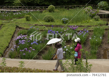 Tour of flower buds Tour of flower buds 76412781