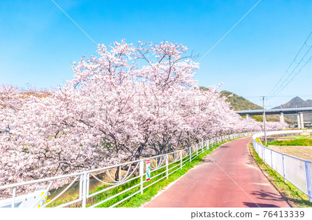 Cherry cycling road Cherry cycling road 76413339