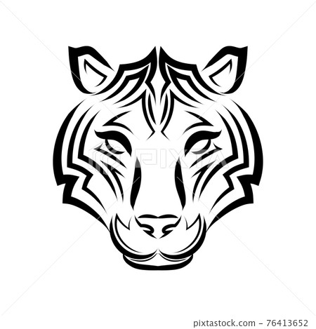 tiger head line drawing