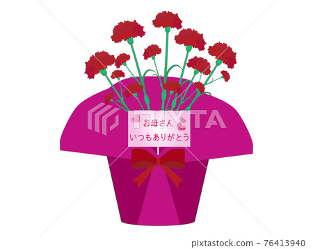 紅色康乃馨盆栽及留言卡 紅色康乃馨盆栽及留言卡 76413940