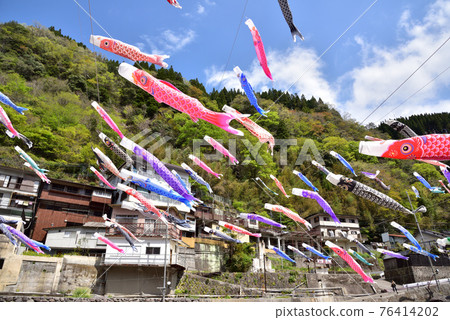 Kanedate Onsen Carp Streamer Festival Dragon Boat Festival Oguni Town, Aso District, Kumamoto Prefecture Kanedate Onsen Carp Streamer Festival Dragon Boat Festival Oguni Town, Aso District, Kumamoto Prefecture 76414202