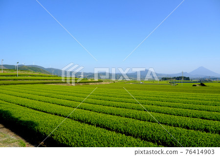 可以看到美麗的開聞岳火山的知蘭茶園景色 可以看到美麗的開聞岳火山的知蘭茶園景色 76414903