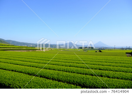 有藍天和Chiran的美麗的茶園 76414904