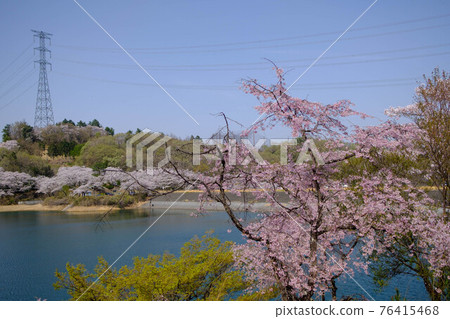 202104 Takenuma 202104 Takenuma 76415468