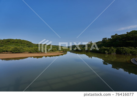 沖繩紅樹林 Hirugi 森林 76416077