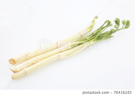 Mount Udo Mount Udo 76416285