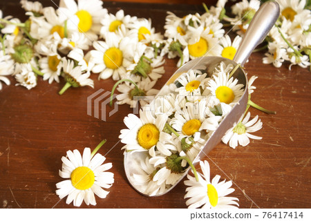 Chamomile Prep Station Chamomile Prep Station 76417414