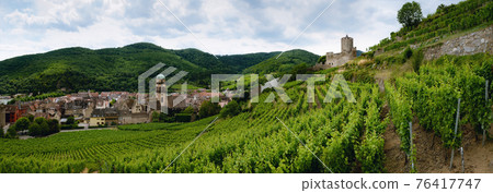 Vineyards and panoramic view of Keysersberg, winemaking village in Alsace (france) 76417747