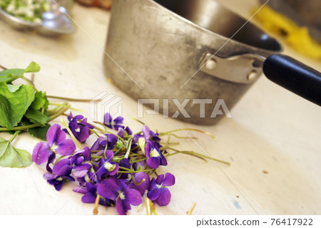 Preparing Herbal Dwarf Iris 76417922