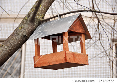 A wooden house bird feeder hanging on a tree branch A wooden house bird feeder hanging on a tree branch 76420672