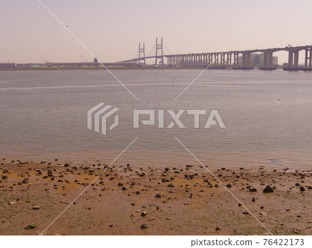 West Coast Expressway. West Sea Bridge. Pier. Main tower 76422173