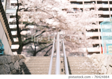 Railing of stairs with cherry blossom background Railing of stairs with cherry blossom background 76424864