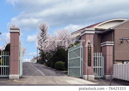 櫻花盛開的福岡縣立三池高中正門 櫻花盛開的福岡縣立三池高中正門 76425333