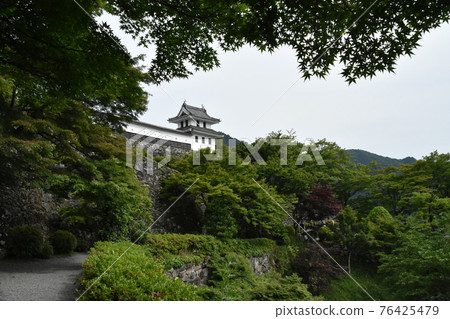 A distant view of Hachiman Castle 76425479