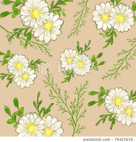 Chamomile hand drawn illustration pattern orange background Chamomile hand drawn illustration pattern orange background 76425639